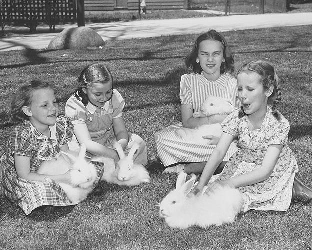 4 young girls with rabbits